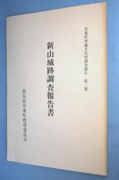 新山城跡調査報告書 < 双葉町埋蔵文化財調査報告 第二冊 >