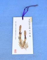 刀剣押形大鑑(犬塚徳太郎 著) / 古本、中古本、古書籍の通販は「日本の