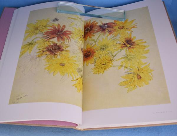 花の素描(木下章 著) / 一心堂書店 / 古本、中古本、古書籍の通販は