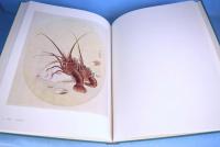 明治花鳥画下絵集成 : 宮内省内匠寮旧蔵
