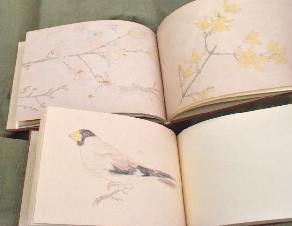 菱田春草 正・続・素描集(菱田春草 画／菱田春夫 編著) / 古本