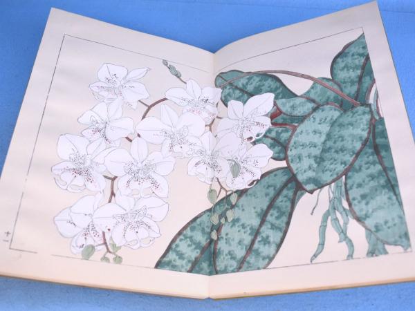 西洋草花図譜 全5冊（春之部 1・2、夏之部 1・2、秋冬之部