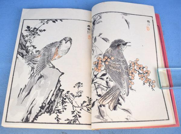 楳嶺百鳥画譜 正続6冊揃(幸野楳嶺 編画) / 古本、中古本、古
