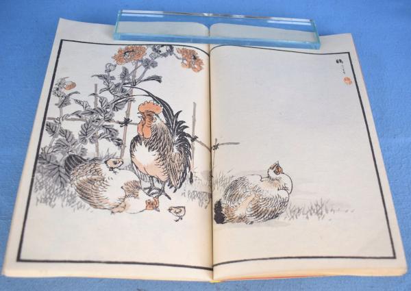 楳嶺百鳥画譜 正続6冊揃(幸野楳嶺 編画) / 古本、中古本、古