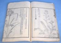 聯珠詩格名物図考　巻１・２（草部）　合本１冊