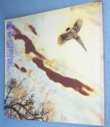 藤本能道展 : 釉描加彩新作をあつめて