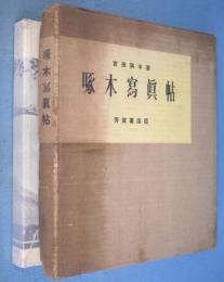 啄木写真帖
