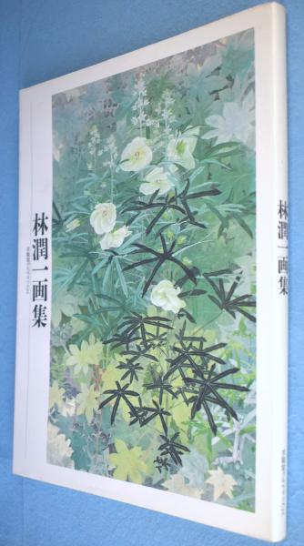 林潤一画集(林 潤一【著】) / 古本、中古本、古書籍の通販は「日本の