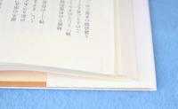 物語の最後の王 : 日本古代文学の精神史　＜平凡社選書150＞
