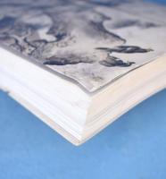 雪舟 : 没後500年特別展