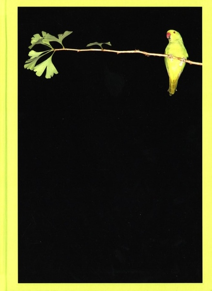 【希少本】Tokyo Parrots 水谷吉法 サイン入り TOKYO PARROTS【サイン入 / Signed】(水谷吉法) / 古本、中古本