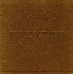 THIN WILD MERCURY -Touching Dylan's Edge