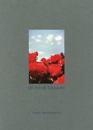 IN YOUR DREAMS
