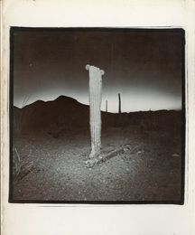 RICHARD MISRACH 1979