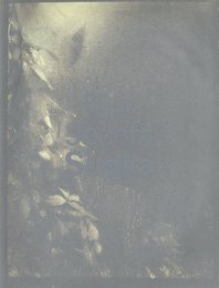 R??e pro Josefa Sudka 1896-1976（A Rose for Josef Sudek 1896-1976）