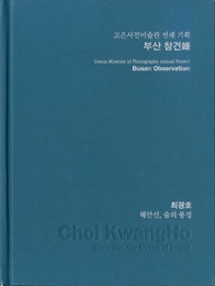 Busan Observation