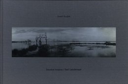Smutna krajima / Sad Landscape
