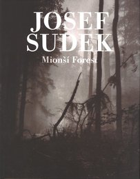 Mionsi Forest
