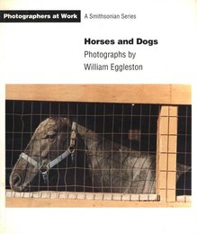 Horses and Dogs