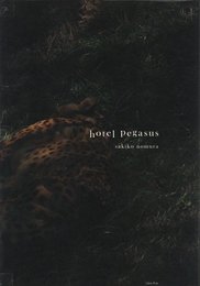 hotel pegasus