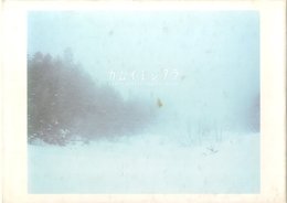 カムイミンタラ