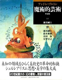 魔術的芸術　普及版