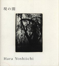 現の闇