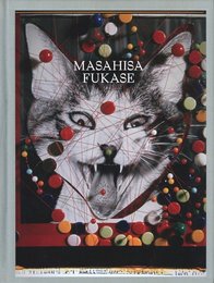 MASAHISA FUKASE