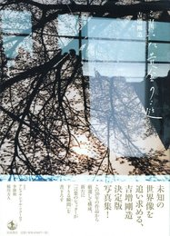 盲いた黄金の庭