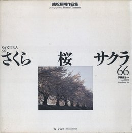 東松照明作品集　さくら・桜・サクラ66