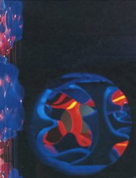 VERNER PANTON