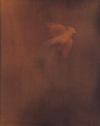 ADAM FUSS