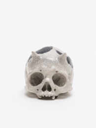 PAINTED SKULLPTURE ぐい呑
