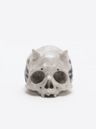PAINTED SKULLPTURE ぐい呑