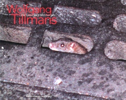 Wer Liebe wagt lebt morgen