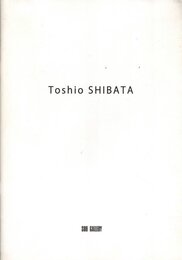 柴田敏雄展 in color