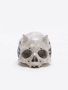 PAINTED SKULLPTURE ぐい呑