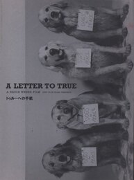 トゥルーへの手紙