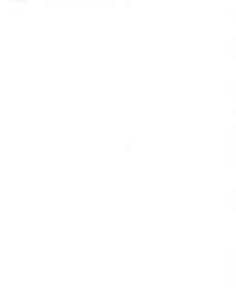 The Wings of the Crane, 50 Years of Lufthansa Design