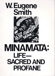 水俣 生ーその神聖と冒?
