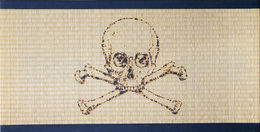 TATAMI BURN MARKS　髑髏と骨