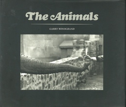 The Animals
