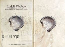 科学の名著　ウィルヒョウ 細胞病理学