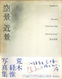 空景 / 近景