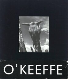 Georgia O'Keeffe　The Artist Landscape