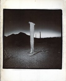 RICHARD MISRACH 1979【献呈サイン / Dedicated sign】