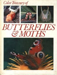 Color Treasury of Butterflies and Moths, a Kaleidoscope of Living Color