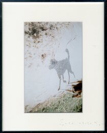 アフンルパル光のつぶ、つちのなか、ベンガル【サイン入 / Signed】