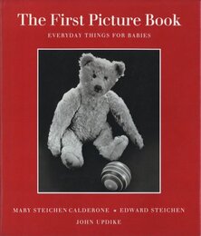 The First Picture Book: Everyday Things for Babies