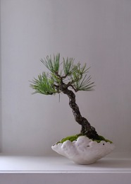 モクモク植木鉢